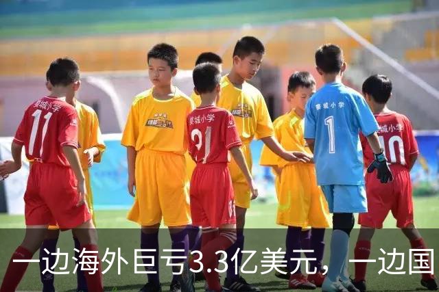 一边海外巨亏3.3亿美元，一边国内拖欠25亿税款，潘石屹报应来了
