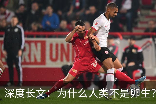 深度长文：为什么人类不是卵生？说出来你可能不信，这事3亿年前就定好了